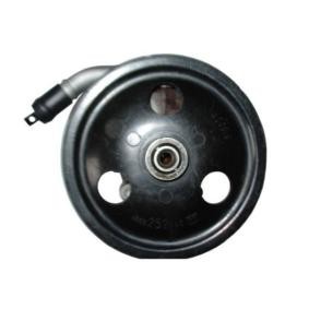 Servopumpe 54365 CHRYSLER von SPIDAN
