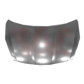 Motorhaube 8238660