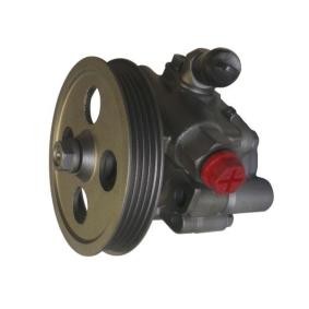 Servopumpe 53762