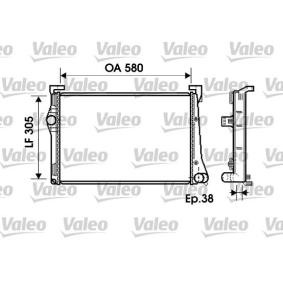 Achetez des Radiateur du moteur VALEO 734361 à prix pour 191,47 €