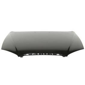 Motorhaube 6803-00-3164280P