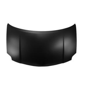 Motorhaube 6803-00-8118280P
