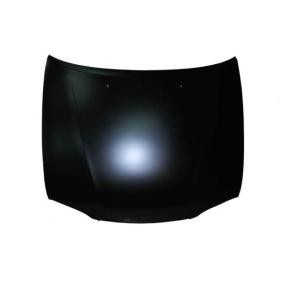 Motorhaube 6803-00-8114281P