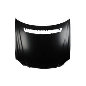 Motorhaube 6803-00-3528280P