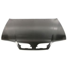 Motorhaube 6803-00-1668280P