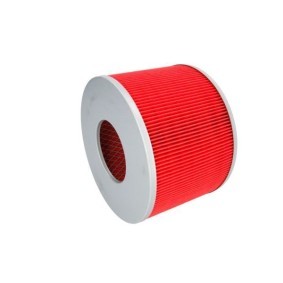 Luftfilter B26019PR