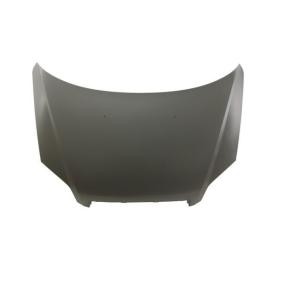 Motorhaube 6803-00-1135280P