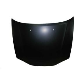 Motorhaube 6803-00-8160280P