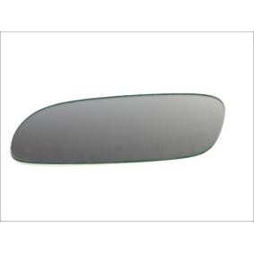 Spiegelglas, Außenspiegel 6102-01-0691P