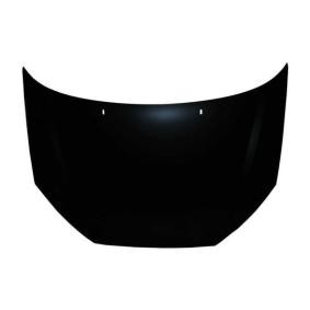 Motorhaube 6803-00-2532280P
