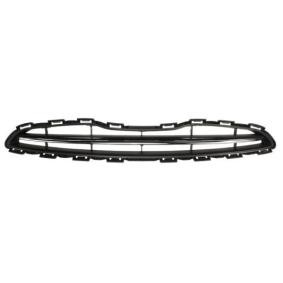Kühlergrill 6502-07-1610990P