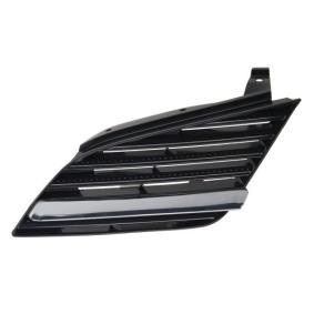 Kühlergrill 6502-07-1670991P