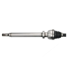 Comprar Juego de fuelle, árbol de transmisión de PASCAL G6G001PC a bajo precio de 8,09 €