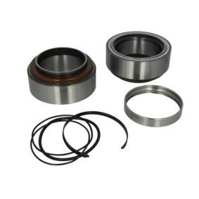 Radlager B01-1801594 für DAF