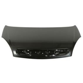 Motorhaube 6803-00-0536280P