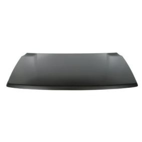 Motorhaube 6803-00-6820280P