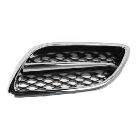 Kühlergrill 6502-07-1668995P
