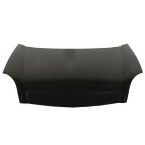 Motorhaube 6803-00-6010281P
