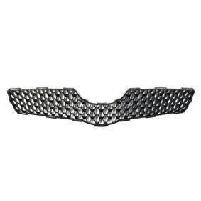 Kühlergrill 6502-07-8155990P
