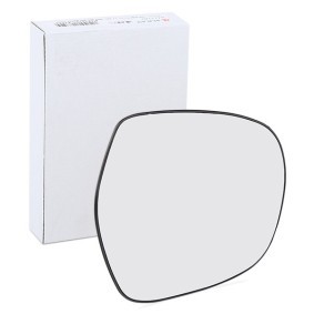 Spiegelglas, Außenspiegel 6102-02-1231937P