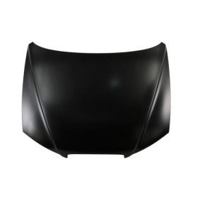 Motorhaube 6803-00-3163280P