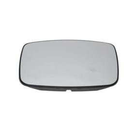 Spiegelglas, Außenspiegel 6102-02-1293919P