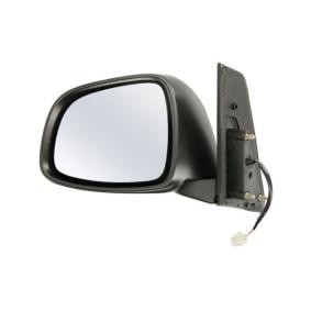 Acquista Specchietto retrovisore esterno da BLIC 5402-04-1112993P a buon mercato per soli 119,00 €