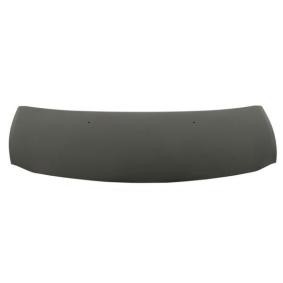 Motorhaube 6803-00-6033280P