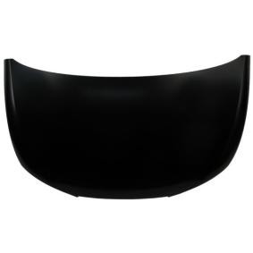 Motorhaube 6803-00-6621280P