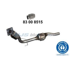 Comprar Catalizador de HJS 96 11 3222 a bajo precio de 560,30 €