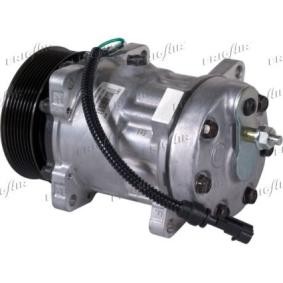 Acquista Compressore aria condizionata da FRIGAIR 920.20246 a buon mercato per soli 364,71 €