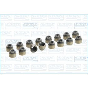 Dichtungssatz, Ventilschaft 57039300