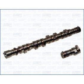 Nockenwelle 93054100