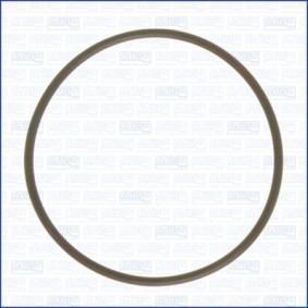 Ansaugkrümmerdichtung 16032100 FIAT PALIO von AJUSA