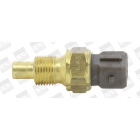 Achetez des Sonde de température, liquide de refroidissement BERU ST250 à prix pour 41,01 €