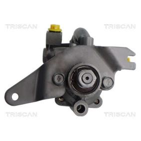 Achetez des Pompe de direction assistée TRISCAN 8515 14611 à prix pour 453,79 €