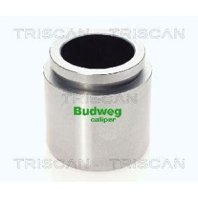 Kolben, Bremssattel 8170 234608