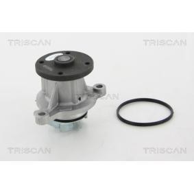 Wasserpumpe von TRISCAN