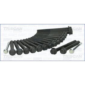 Acquista Kit bulloni testata da TRISCAN 98-4203 a buon mercato per soli 64,65 €