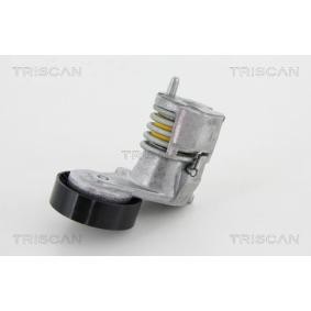 Acquista Braccio tenditore, Cinghia Poly-V da TRISCAN 8641 103028 a buon mercato per soli 95,25 €