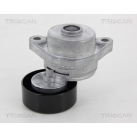 Comprar Brazo tensor, correa poli V de TRISCAN 8641 213001 a bajo precio de 65,90 €