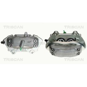 Comprar Brazo tensor, correa poli V de TRISCAN 8641 293041 a bajo precio de 71,21 €