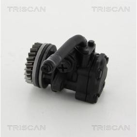 Servopumpe von TRISCAN