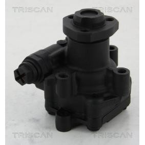 Servopumpe von TRISCAN