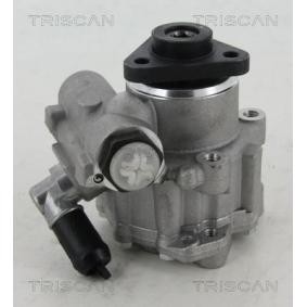 Servopumpe von TRISCAN