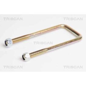 Federbride von TRISCAN 8765 140004