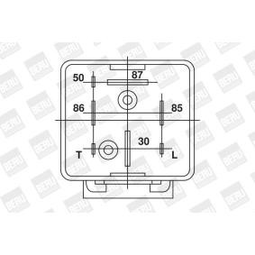 Achetez des Appareil de commande, temps de préchauffage BERU GR001 à prix pour 70,91 €