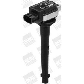 Kühlerlüfter LE012 von BERU günstig für 113,57 € online kaufen