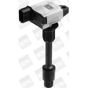 Kühlerlüfter LE035 von BERU günstig für 79,22 € online kaufen