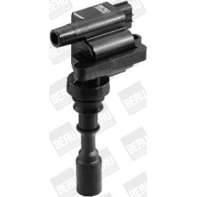 Kühlerlüfter LE049 von BERU günstig für 113,59 € online kaufen